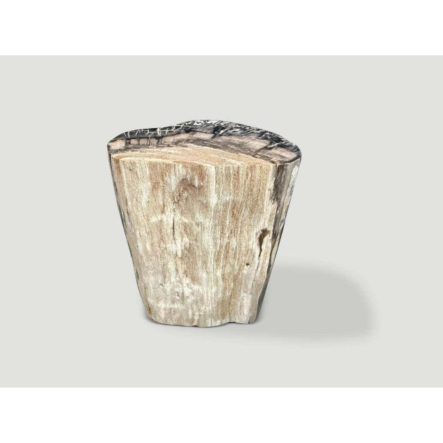 "Impressive beautiful grey tones on this ancient petrified wood side table. It’s fascinating how Mother Nature produces...