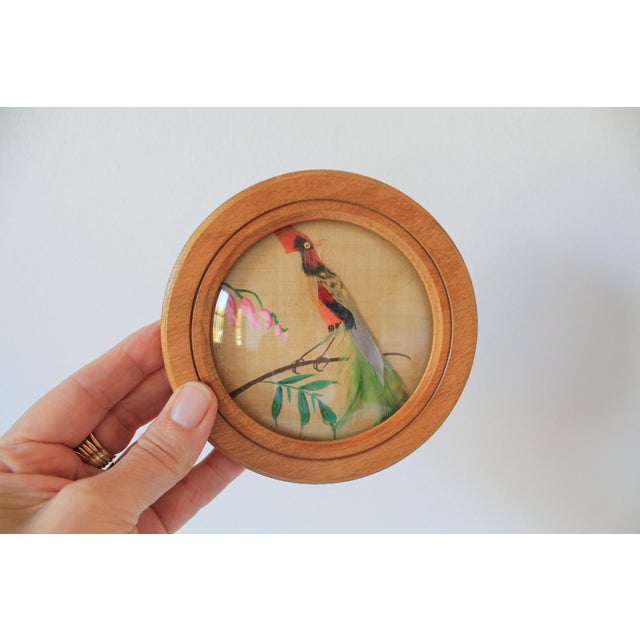 Vintage Feather Art Bird Wall Hangings For Sale - Image 4 of 7