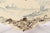 Louis XV Style Painted Bombe Chest of Drawers With Marble Top For Sale - Image 9 of 10