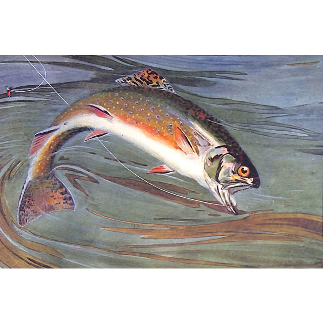 "The Speckled Brook Trout" 1902 Rhead, Louis For Sale - Image 11 of 12