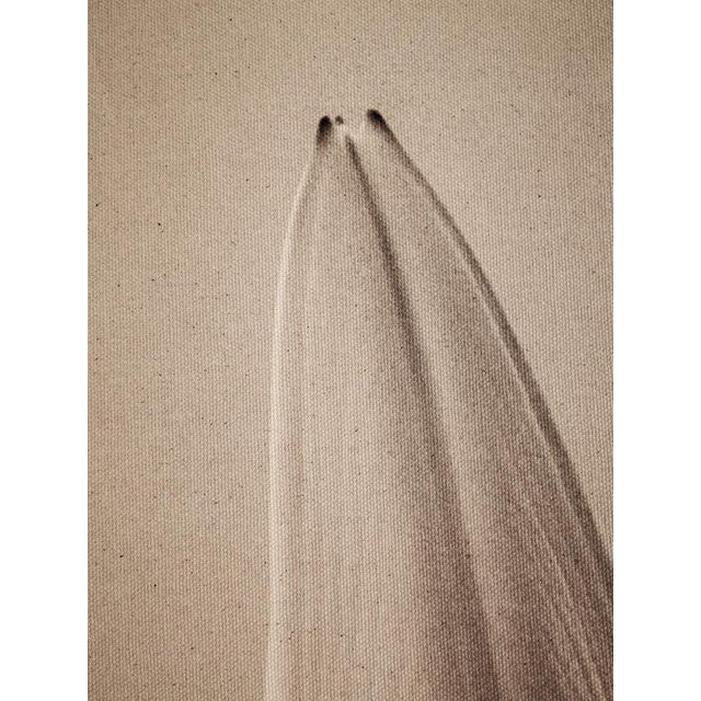 Contemporary Ugne Pouwell, Lilly, 2022, Photography For Sale - Image 3 of 10