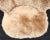 Wood Natures Collection Ethan Puffy Lounge Chair, New Zealand Sheepskin For Sale - Image 7 of 13