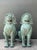 Verdigris Vintage Verdigris Bronze Temple Lions - A Pair For Sale - Image 8 of 17