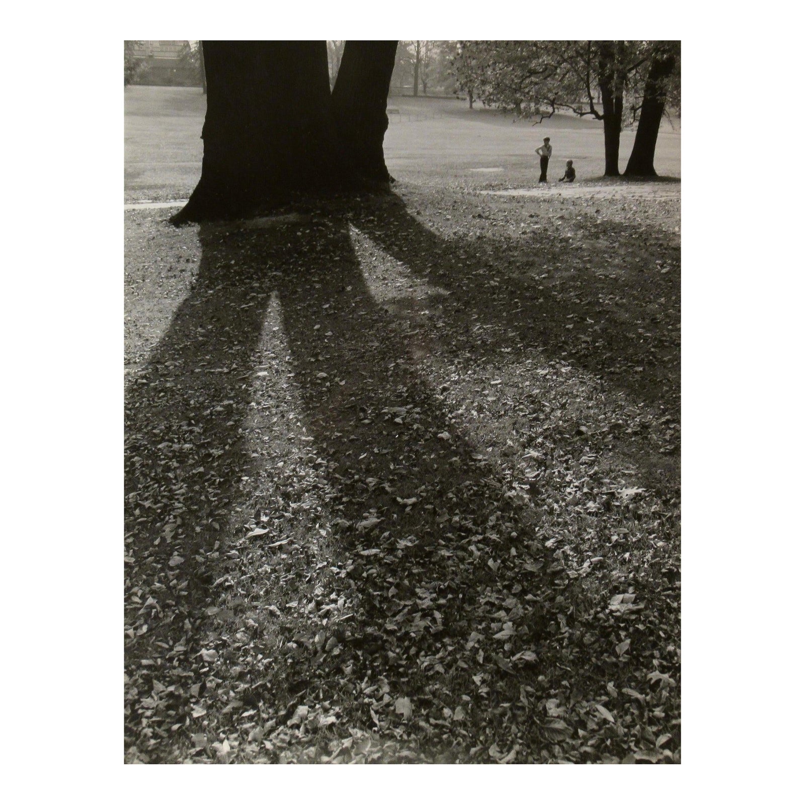 Richard Stacks Children Playing At The Park C. 1960 Photography | Chairish