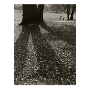 Richard Stacks Children Playing At The Park C. 1960 Photography