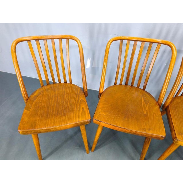 1960s Dining Chairs by Antonin Suman for Ton, 1960s, Set of 4 For Sale - Image 5 of 18