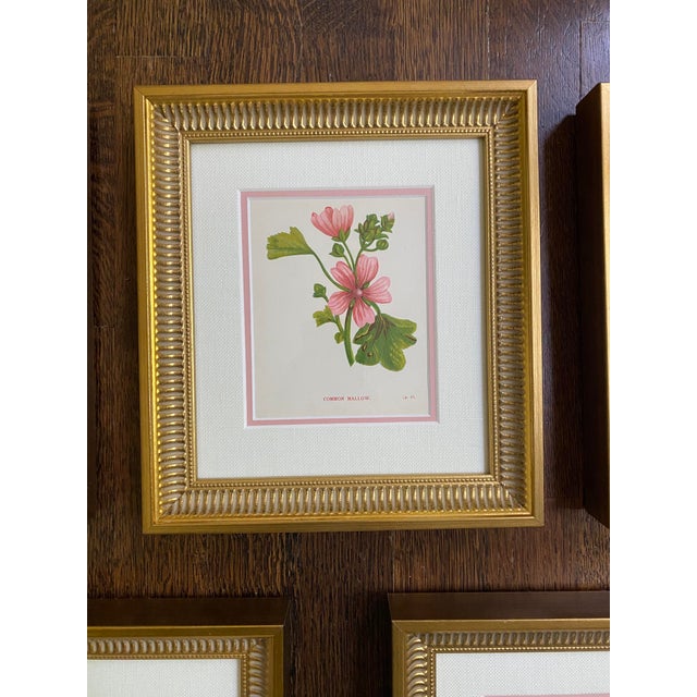 1900 - 1909 Antique Botanical Woodblock Prints Circa 1905, Set of 5, Framed For Sale - Image 5 of 9