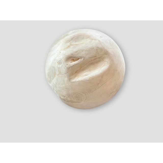 Andrianna Shamaris Sculptural Bleached Sphere on a Stand For Sale - Image 10 of 18