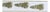 Embroidered Pine Branch Wired Ribbon 4" x 5 Yds. For Sale
