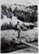 Modern Robert Capa, Gary Cooper, 1941, Photograph For Sale - Image 3 of 3