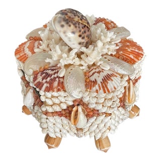 1970s Superb Palm Beach Sea Shell Encrusted Treasure Box For Sale