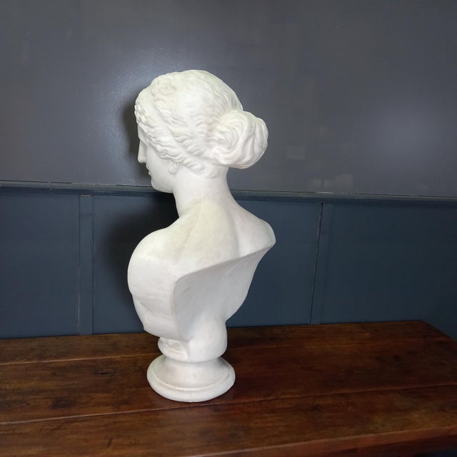 Large Nude Bust of Venus, 1950s For Sale - Image 14 of 15
