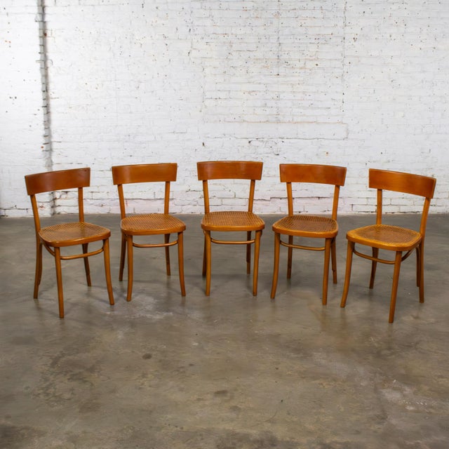 Mid 20th Century Mid to Late 20th Century Bauhaus Beech Bentwood Dining Chairs W/Cane Seats by Thonet Set of 5 For Sale - Image 5 of 18