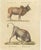 Karl Joseph Brodtmann, Indian Zebu Bull and Extinct Aurochs, 1816, Lithograph For Sale - Image 9 of 9