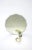 White Lucite Encased Dandelion Flower Decorative Object Paperweight For Sale - Image 8 of 9