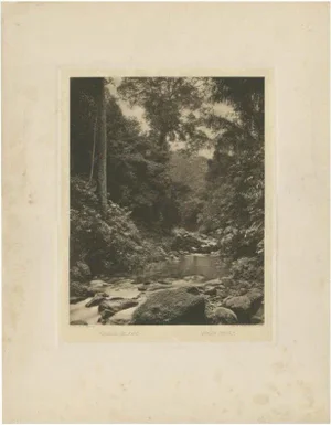 Kleingrothe, Jungle and Sungai Belawan River, 1890s, Paper