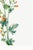 Scarlet Globe Mallow, Vintage Botanical Art Print Reproduction by Mary Vaux Walcott, 32" X 48" For Sale - Image 10 of 10