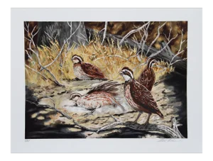 Allen Friedman, Quail, Lithograph