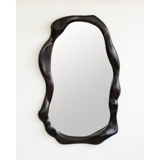 Wood Organic Shaped Charred Red Oak Wall Mirror by Alexander Knysch For Sale - Image 7 of 10