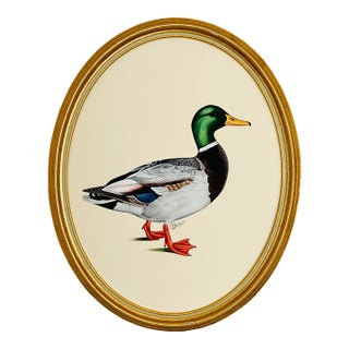 Large Original Handpainted Mallard Painting, Framed For Sale