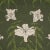 Contemporary SAMPLE - Schumacher x Backdrop Lady Lilith Wallpaper In Olive For Sale - Image 3 of 4