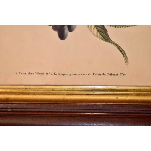 Victorian 19th Century Louis Charles Ruotte Engraving For Sale - Image 3 of 8