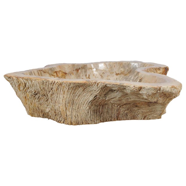 Contemporary Petrified Wood Wash Hand Basin by Xyleia Petrified Wood For Sale - Image 3 of 6