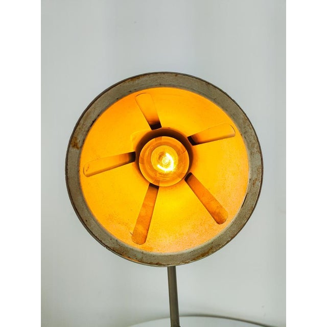 Mid-Century Pendant and Desk Light Solar Series by H. Th. J. A. Busquet for Hala Zeist, 1950s, Set of 2 For Sale - Image 6 of 8