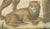 Early 19th Century Brodtmann, Lioness and Cub, 1816, Lithograph For Sale - Image 5 of 9