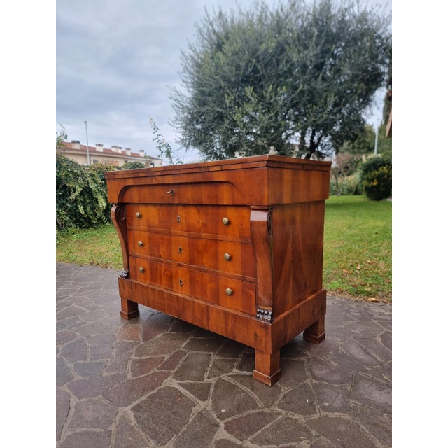 Empire Chest of Drawers 1830 in Walnut Veneer For Sale - Image 11 of 14