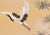 36" * H100"/Panel * 5ps, Mustard-Yellow Pine and Crane Wallpaper, Chinese-Style Pine and Crane Wallpaper Mural, 5 Panels For Sale - Image 4 of 6