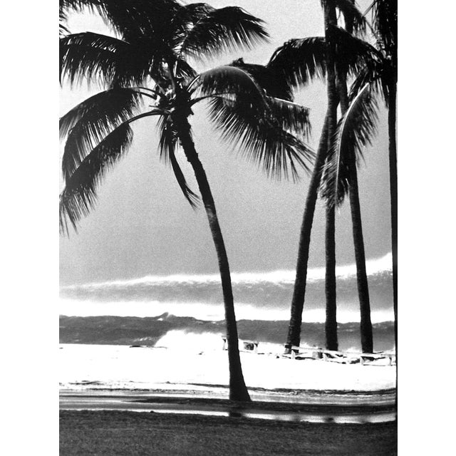 2010s "John Severson's Surf" 2014 Severson, John For Sale - Image 5 of 12