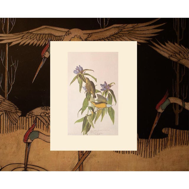 1966 Vintage Farmhouse Cottage Print "Connecticut Warbler" After John James Audubon For Sale In Dallas - Image 6 of 7