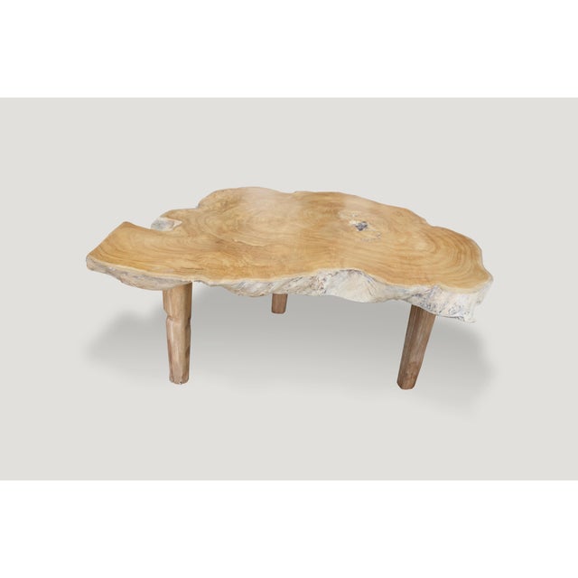 Andrianna Shamaris Single Slab Live Edge Coffee Table or Side Table For Sale - Image 11 of 18