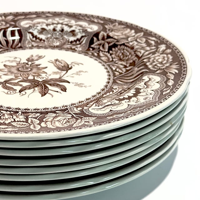 Spode Spode Archive Collection Umber Floral Luncheon Plates - Set of 8 For Sale - Image 4 of 11