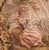18th Century French Aubusson Tapestry Panel in Carved Gilt Frame For Sale - Image 4 of 10