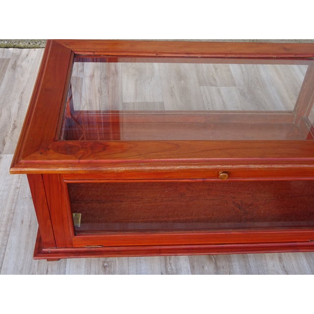 Display Cabinet with Exotic Wood Structure For Sale - Image 4 of 18