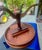 1950s Mersman 7494 Vintage Drum Pedestal Table For Sale - Image 15 of 16