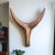 The Nguni head was formed around the concept of the indigenous Nguni cattle that wanders the coastline of South Africa....