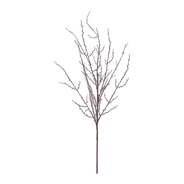 Add organic height and woodland charm to your seasonal décor with this Natural Decorative Twig Branch set. Designed with a...