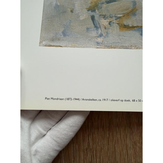 Piet Mondrian (1872-1944), Aronskelken, ca. 1917, copyright 1996 ABC/Mondrian Estate\.Printed in Holland #831