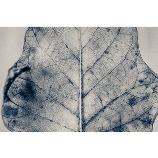 Guy Sargent, The Vein of Truth, Archival Pigment Print For Sale
