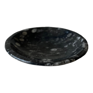 Goniatite Bowl