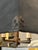 Handsome rustic masculine graphite metal light fixture having blackened exterior with decorative iron ram’s heads in the...