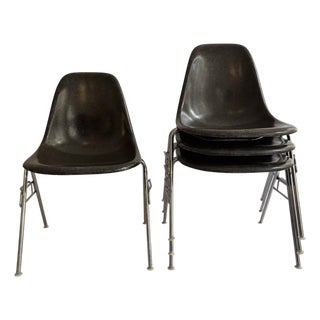 DSS Chairs by Charles and Rey Eames for Herman Miller, 1950, Set of 4 For Sale