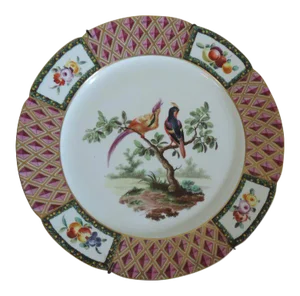1760 French Style German Frankenthal Carl Theodor Porcelain Exotic Bird Ornithological Cabinet Plate
