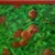 Zoriana Pavlyshyn Decorative Apples - Framed Original Painting Oil on Canvas Decor Art Impresionist Still Life For Sale - Image 4 of 6
