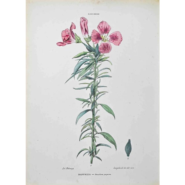 Vincenzo Tenore, The Entree, Lithograph, 1870s For Sale