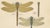 Dragonflies of Central Europe, 1908, Lithograph, Set of 3 For Sale - Image 9 of 14