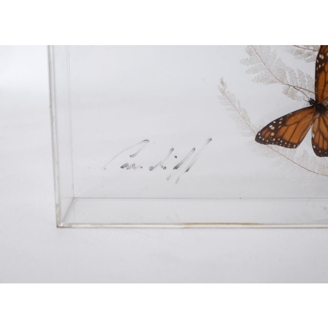Vintage 1970s Botanical Butterly Taxidermy Acrylic Box Wallhanging For Sale - Image 9 of 11